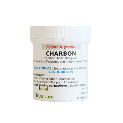 Charbon actif