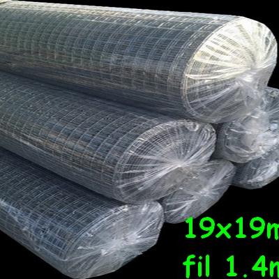 Grillage 19x19 fil 1.45mm 1x25m