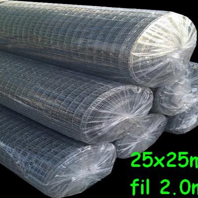 Grillage 25x25 2 0