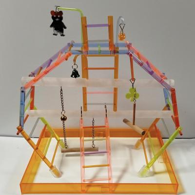 aire de jeux conures, perruches et grandes perruches
