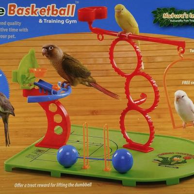 aire de jeux birdy basketball
