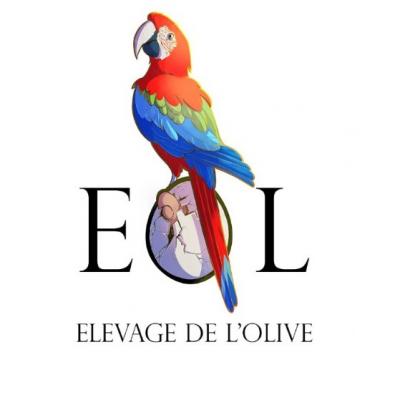 Logo dom