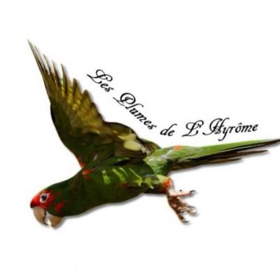 Logo steph 2
