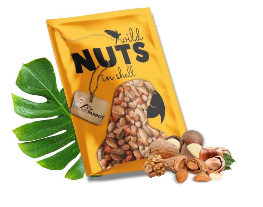 Nuts a coque